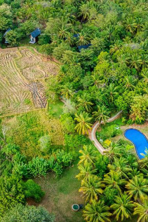 Farm Villa chalets surrounded by nature